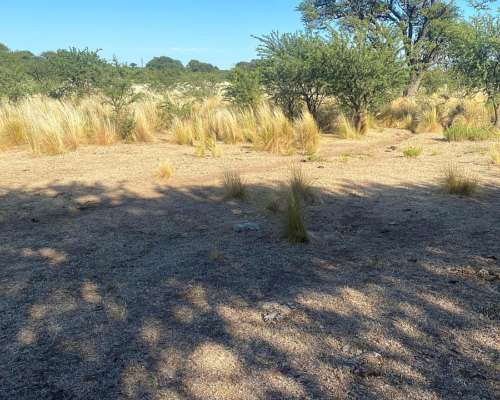 Juan Jorba Alquiler 176 Has