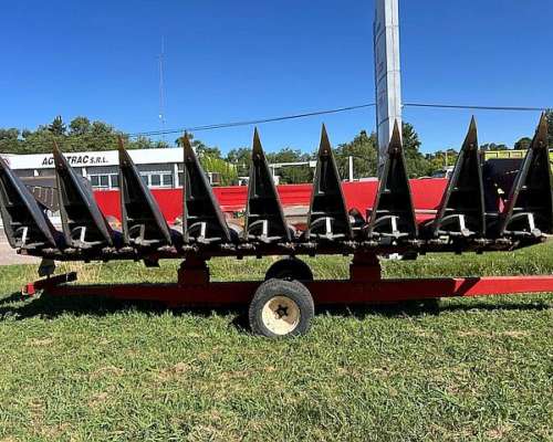 Maicero Mainero 2008 de 8 a 70