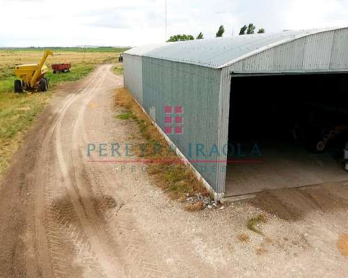 Excelente Campo Mixto en Venta. Juan N Fernandez - Necochea