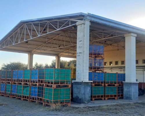 Campo con Fabrica de Aceite de Oliva en Catamarca