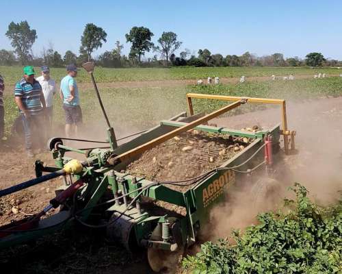 Arrancadora de Papas Agrotec 2 Surcos Modelo LSP