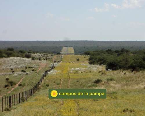 La Pampa - Venta Estancia 10.200 Ha Caldenal y Cultivo