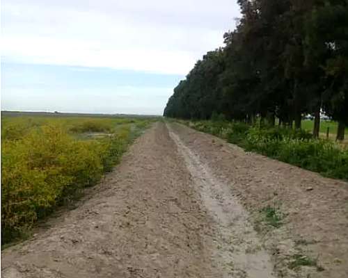 Campo 129 Hectáreas en Fernández Santiago del Estero