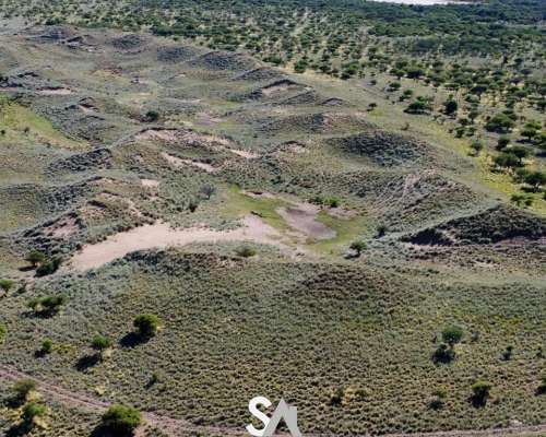 Vende: Campo Ganadero de 1.650 Hectáreas. Carro Quemado