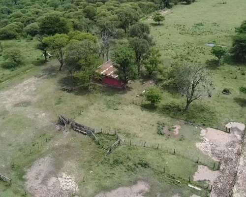 Venta Campo Ganadero Pilar Santa FE