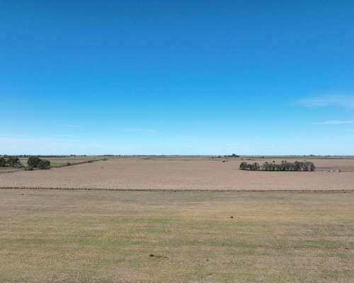 3780 Has. Campo Mixto S/ Ruta en Alpachiri, la Pampa