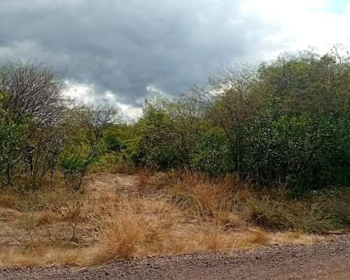 Vendo Campo de 500 Hs en Santiago del Estero