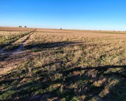160ha en General San Martin la Pampa