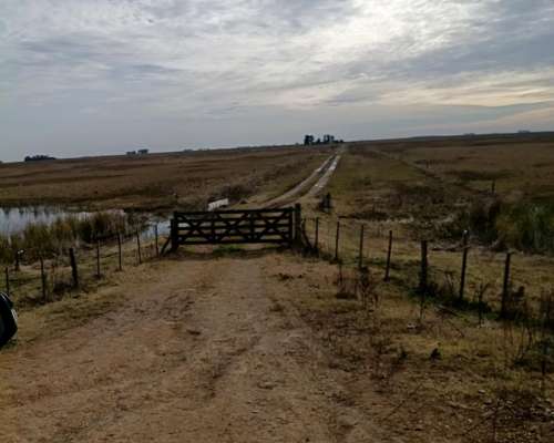 1000 HA, Ganadero, Dolores
