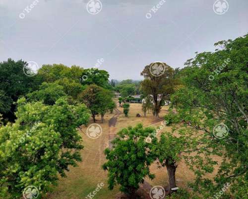 Campo en Venta de 80 Has en Gualeguay, Entre Rios. Agricola.