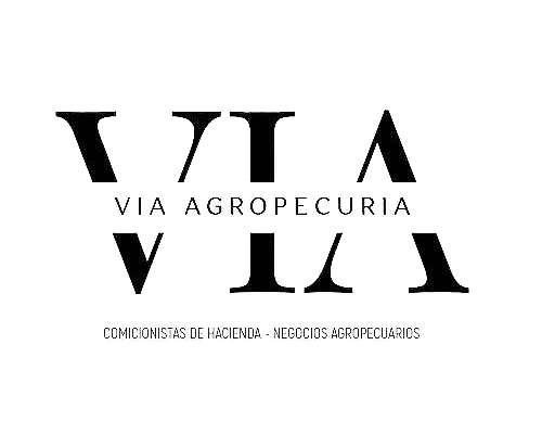 Compra de Ovinos Todas las Catg