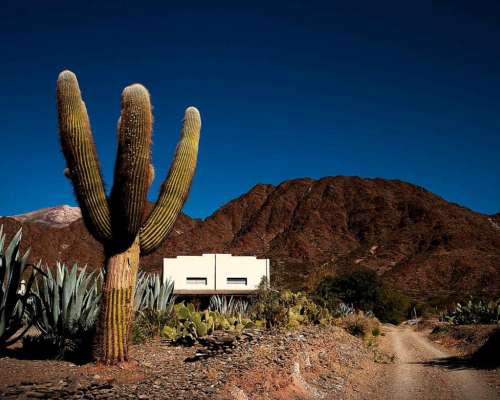 Pcia. de Salta - Bodega Miraluna - Cachi 16 Has