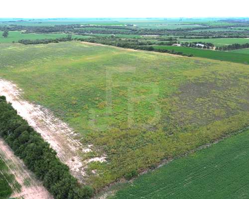 32 Has Agrícolas Lozada, Cordoba