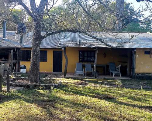 Venta 40 Has Multiproposito