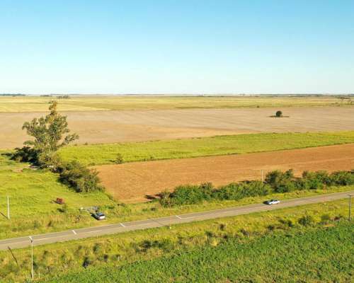 Washington, Río Cuarto, Córdoba - 11 Ha