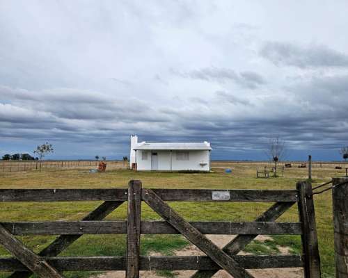 Campo Venta Pila 4400 Ha Ganadero