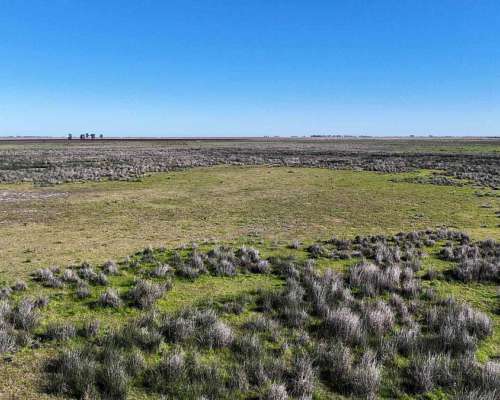 Pcia. de Santa FE - Aaron Castellanos 1125 Has