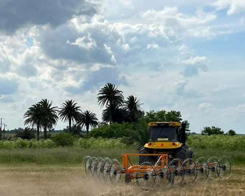 Rastrillo en V de 12 Estrellas Alser Anca