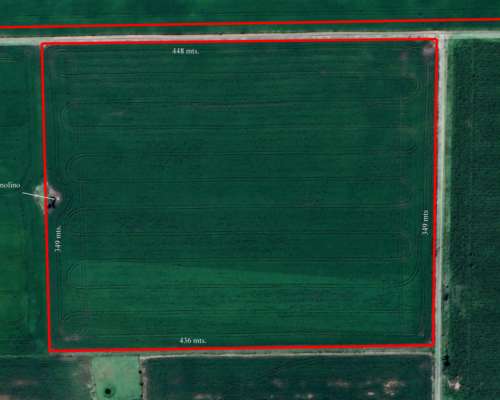 Ba3564 Venta 15 HA. Agricolas Capitan Sarmiento Arrecifes BA