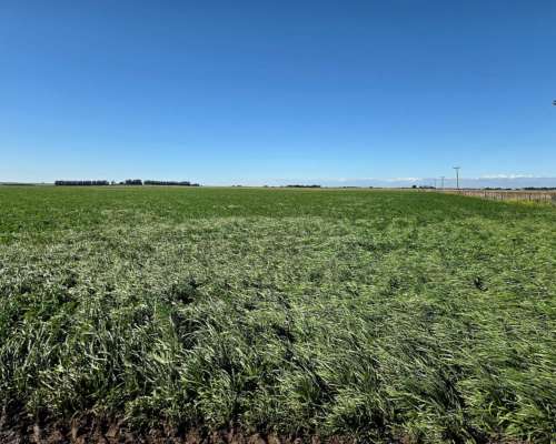 200 Ha Agricolas SC