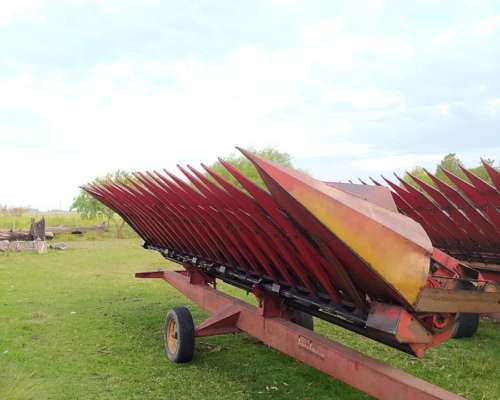 Girazolero Franco Fabril de 10 a 70 CM. Bandeja de 35 CM. .