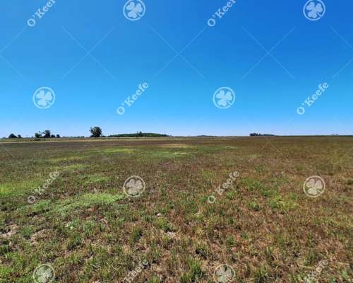 Campo Mixto en Venta 90 Has en Ranchos, con Buen Acceso