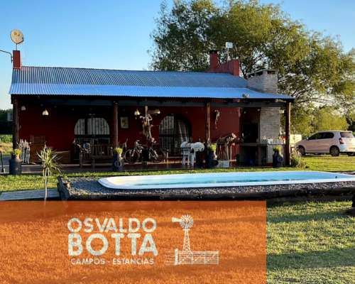 Campo Agricola en Venta 32 Has en Suipacha, Buenos Aires