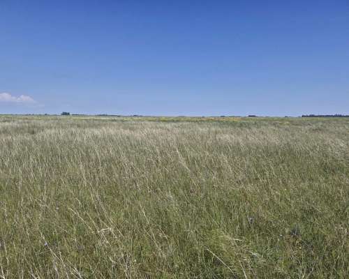 Veronica, Punta Indio, Buenos Aires - 1.327 Ha