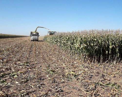 1500 Has Agricolas, Ganadera en Obispo Trejo Cordoba.