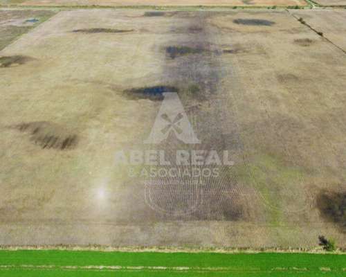 30 Ha Bermúdez Prov. de Buenos Aires