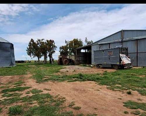Campo en Chasico - Torquinst 665 Has