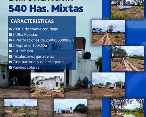 Campos Seleccionados Ganadero y Mixtos para los 3 Ciclos