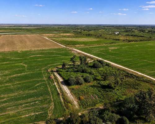 Fernández, Robles, Santiago del Estero - 1.098 Ha