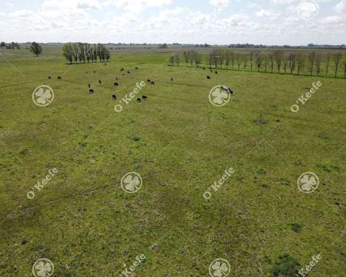Campo en Venta de 450 Has en Magdalena. Mixto