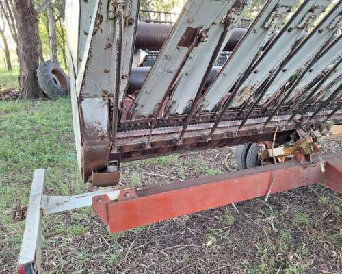 Girasolero Maizco 18 a 52 Bandeja Fina