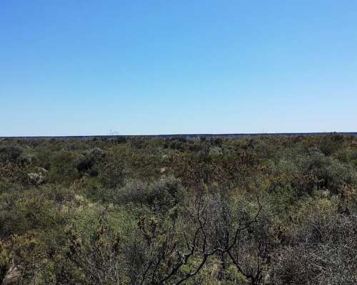 550 HA- Arena Silicea-valle Rio Colorado-peñas Blancas
