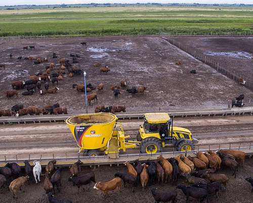 Mixer Ascanelli RS 1600