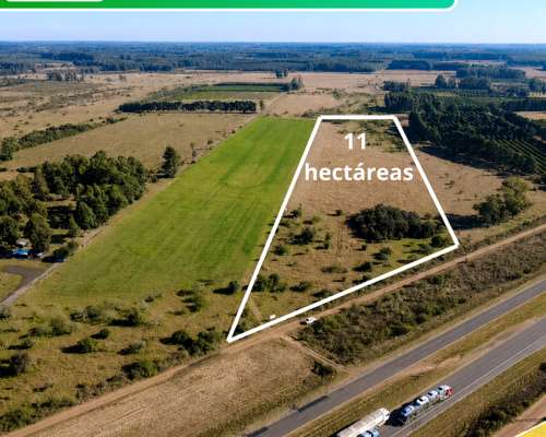 11 Hectareas Ruta 14 Chajari