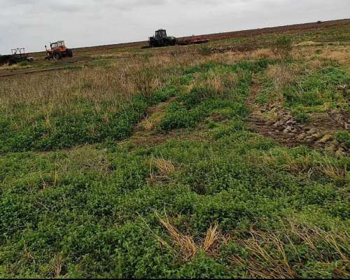 Campo Mixto SGO del Estero Sobre 34