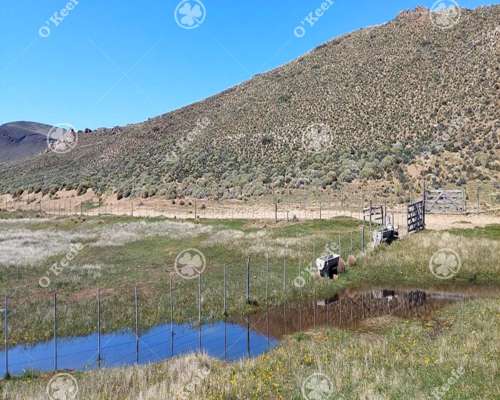 Campo en Venta 4394 Has en las Bayas, Bariloche. Ganadero.