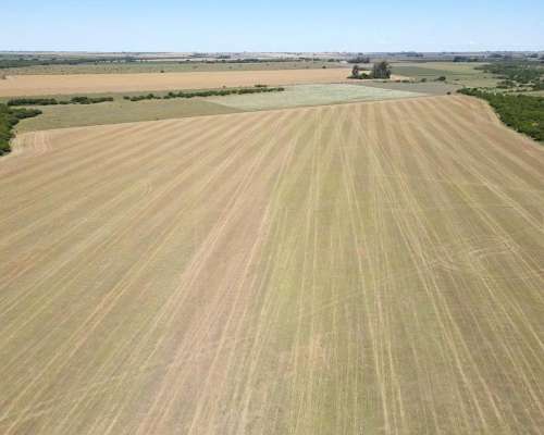 25 Hectáreas Agrícolas, Talita - Larroque, Gualeguaychú