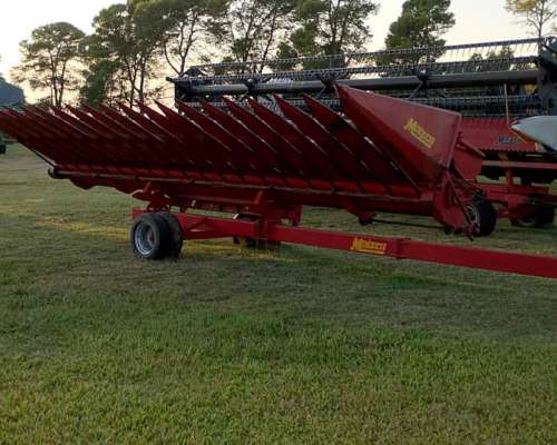 Girasolero Maizco de 10 a 70. año 1998.