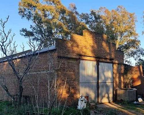 100 Ha Coronel Pringles