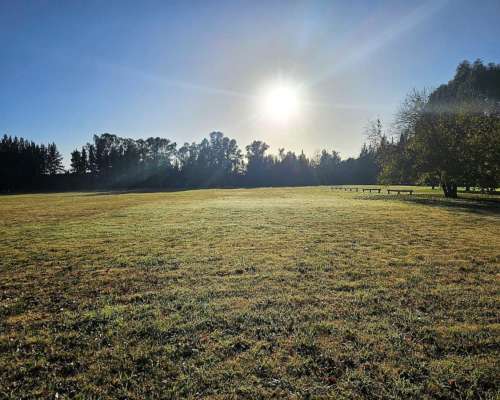 Encargado de Campo- Cadete