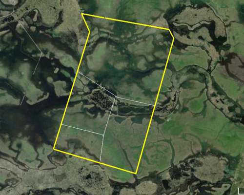 Campo en Arrendamiento en Dolores 424 Ha 4 Potreros