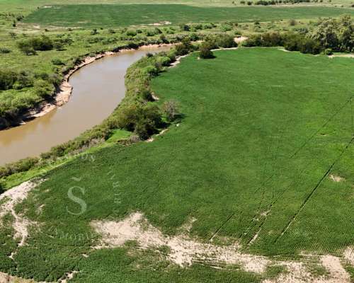 Venta Campo en Correa, Santa FE. 65 HA. Mixto.