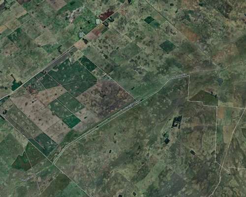 La Plata Pcia de Buenos Airese
