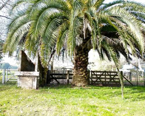 Campo en Venta en Magdalena - 226 Has a 1 Hora de Caba
