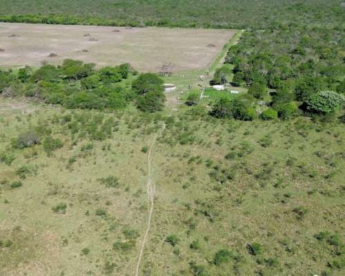 Venta 460has Zona Federal