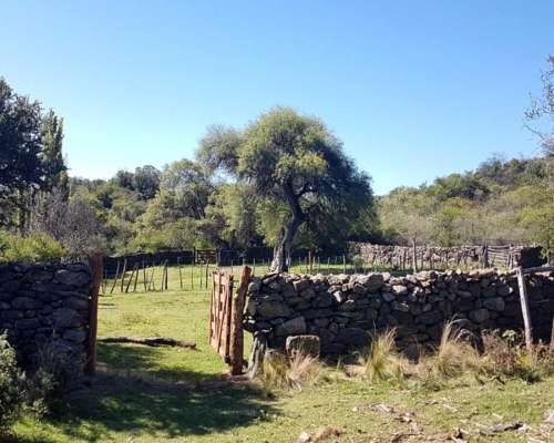 Campo de 453 Hectáreas en Villa de Soto, Córdoba.